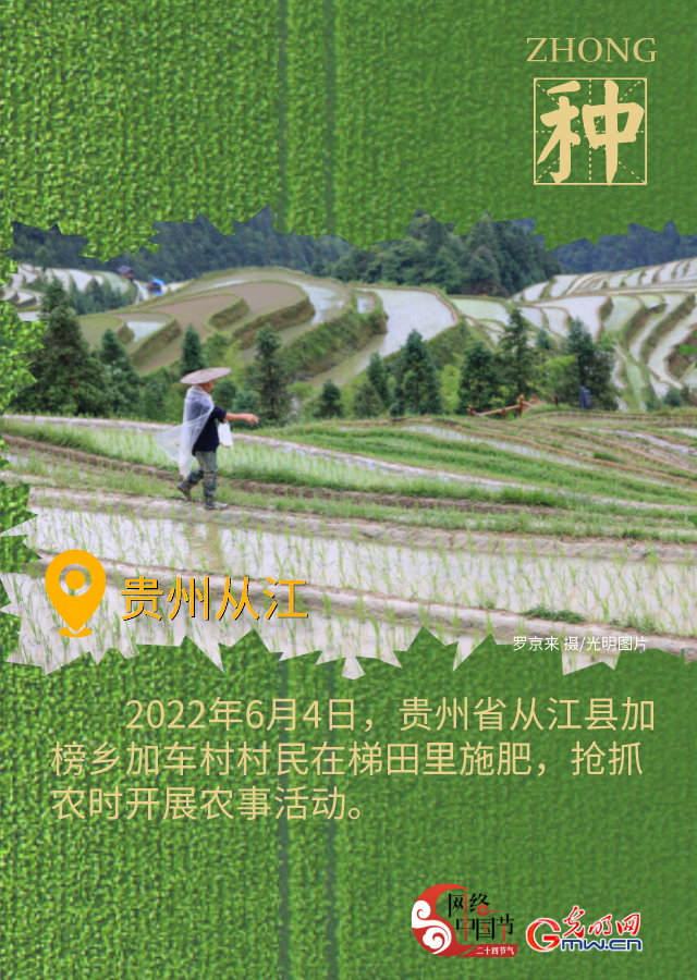 海報(bào)丨有收有種 芒種時節(jié)看希望的田野