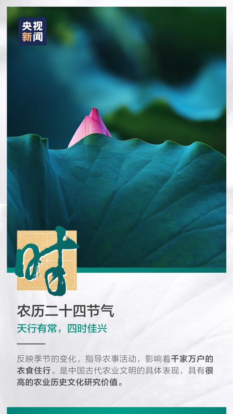 這也太浪漫了吧！