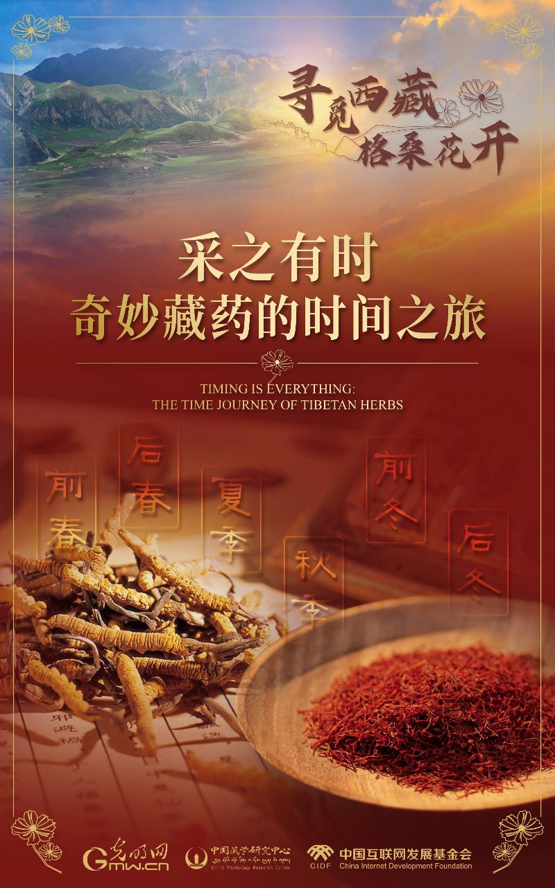 【尋覓西藏·格?；ㄩ_】采之有時(shí)：奇妙藏藥的時(shí)間之旅