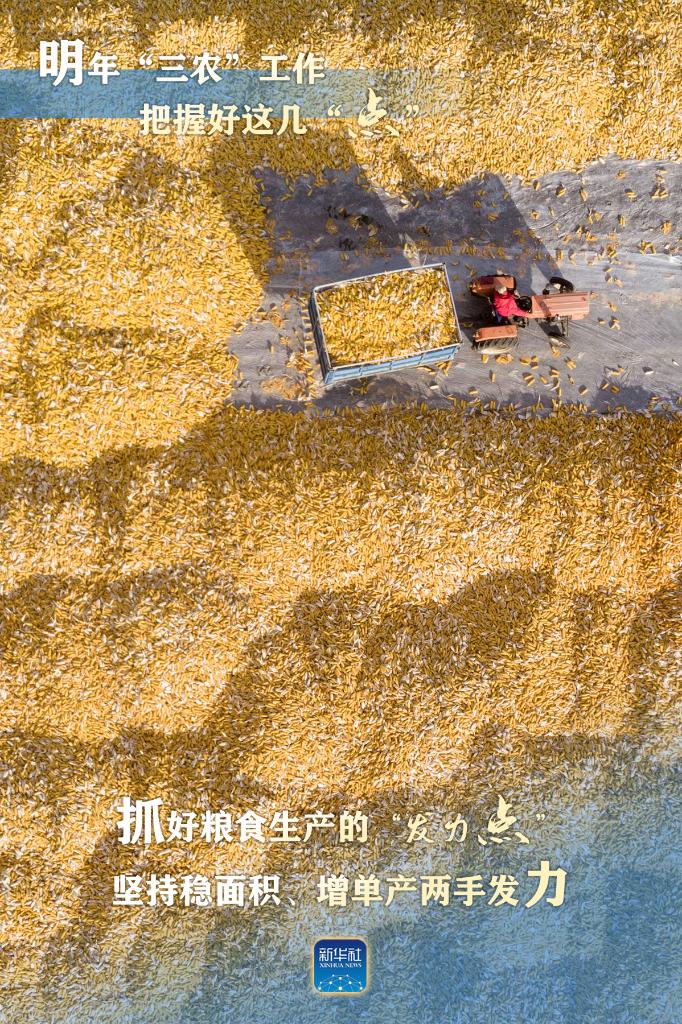 明年“三農(nóng)”工作，這幾個“點(diǎn)”要把握好