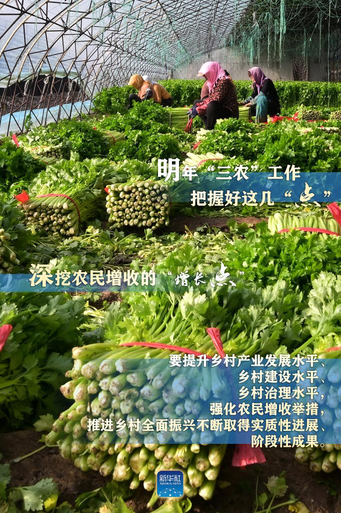 明年“三農(nóng)”工作，這幾個“點(diǎn)”要把握好