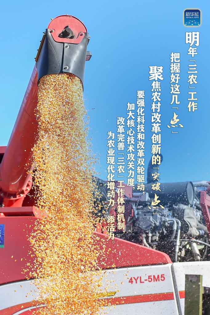 明年“三農(nóng)”工作，這幾個“點(diǎn)”要把握好