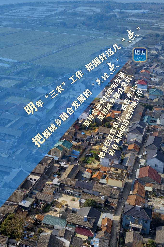 明年“三農(nóng)”工作，這幾個“點(diǎn)”要把握好