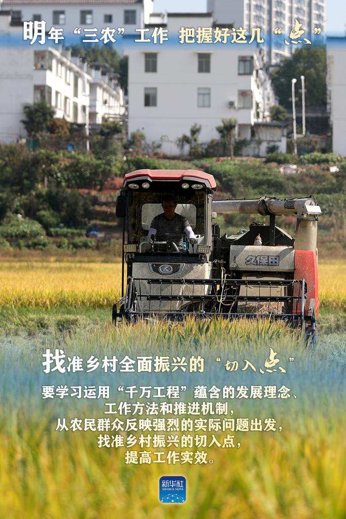 明年“三農(nóng)”工作，這幾個“點(diǎn)”要把握好
