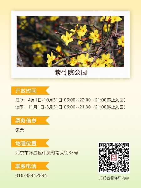 追花指南第二期！京城三月里最撩人的玉蘭觀賞地