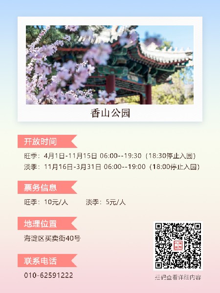 追花指南第三期！別等了 今天就去和桃花撞個滿懷