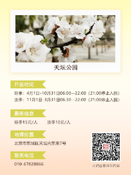追花指南第六期！杏花雨 楊柳風(fēng) 北京最美的杏花在這里
