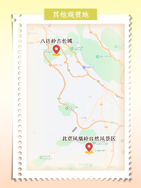 追花指南第六期！杏花雨 楊柳風(fēng) 北京最美的杏花在這里