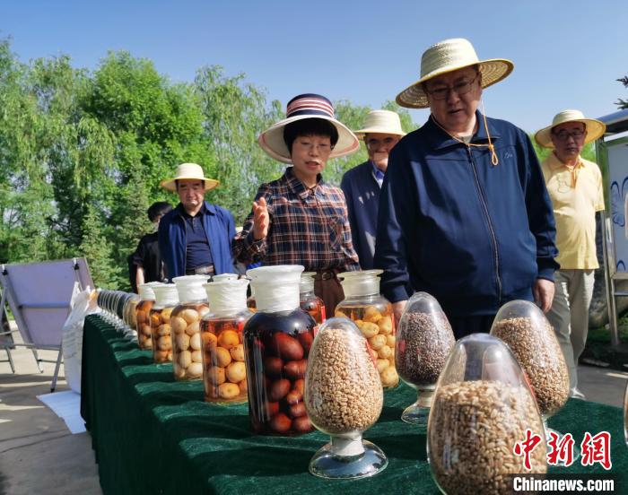青海：利用冷涼氣候，打造高原綠色種業(yè)輸出地