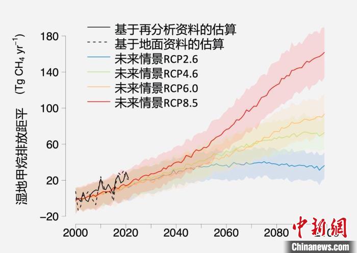 基于觀測(cè)的濕地甲烷排放變化與未來氣候變化情景下估算的對(duì)比?！≈锌圃呵嗖馗咴?供圖