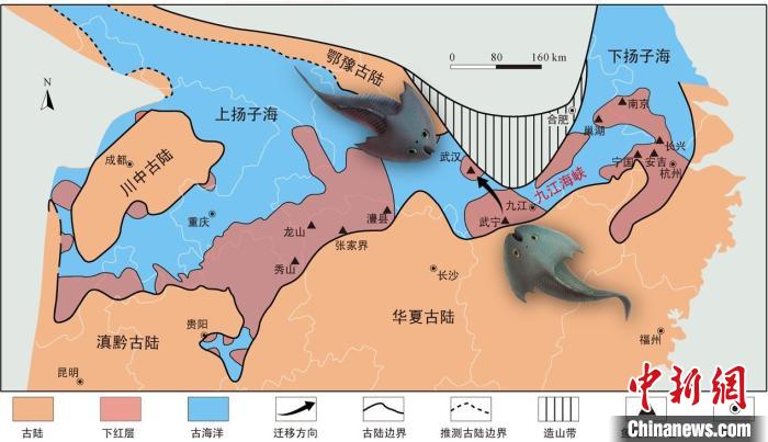 華南地區(qū)志留紀(jì)早期古地理圖和盔甲魚類化石產(chǎn)地(山顯任改自陳旭、戎嘉余，1996；戎嘉余等，2012) 中科院古脊椎所 供圖