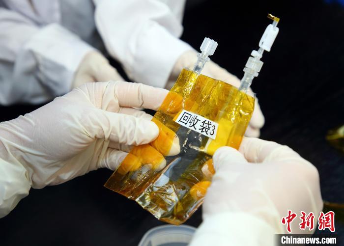 隨神舟十五號(hào)返回地面的空間科學(xué)實(shí)驗(yàn)樣品?！≈锌圃嚎臻g應(yīng)用中心 供圖