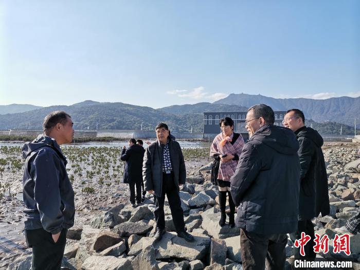 浙江海洋生態(tài)觀察：智慧大腦如何解鎖藍(lán)色發(fā)展密碼？