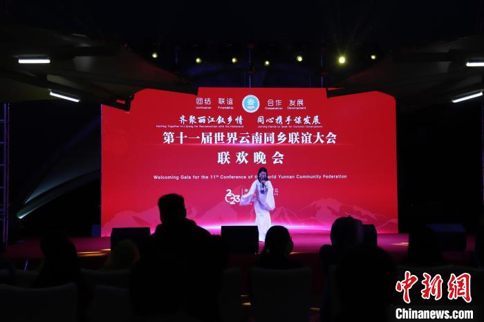 圖為第十一屆世界云南同鄉(xiāng)聯(lián)誼大會(huì)舉辦聯(lián)歡晚會(huì)。　崔永江 攝