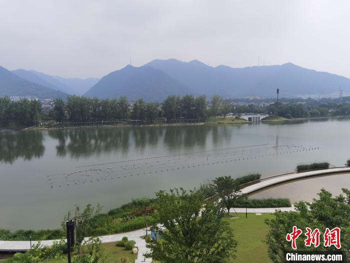 兩岸媒體共探杭州亞運(yùn)會(huì)“綠”在何處？