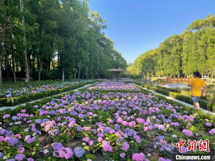 納民意、匯民智上海努力讓“公園城市”建設(shè)真正“合民心”