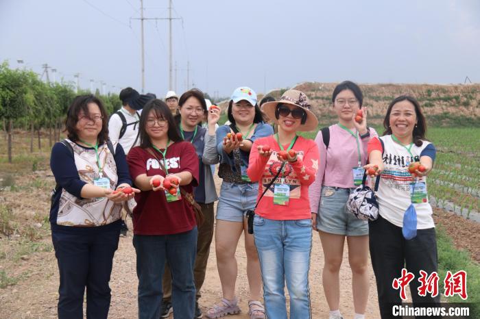 圖為臺胞體驗大美內(nèi)蒙古?！⊥袐I供圖