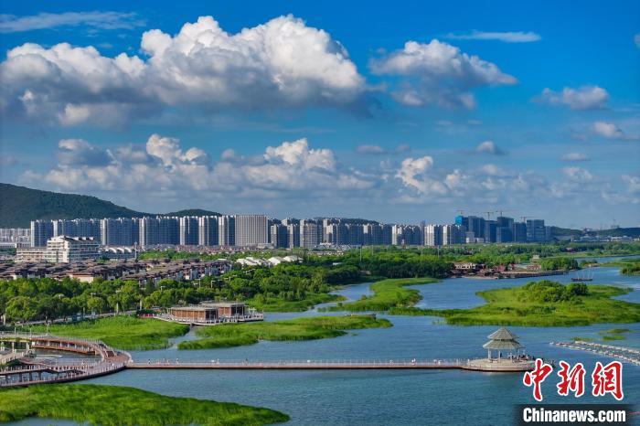 資料圖：航拍蘇州太湖湖濱國家濕地公園，藍(lán)天碧水生態(tài)美。 泱波 攝