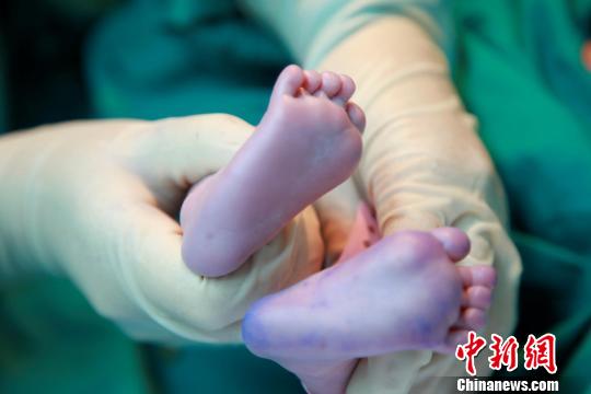 資料圖。簡(jiǎn)文楊 攝