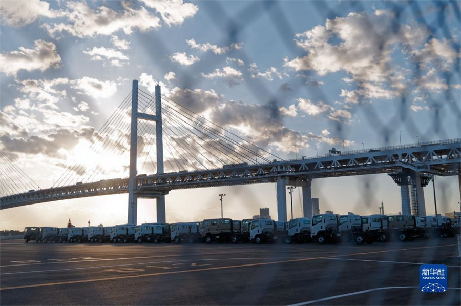 這是11月14日在日本橫濱拍攝的進出口汽車集散場地。新華社記者 張笑宇 攝