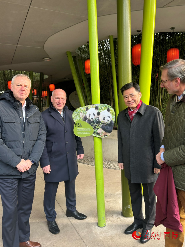 中國駐德國大使吳懇（右二）、柏林市長韋格納（左二）、動物園園長克尼里姆（右一）和監(jiān)事會主席布魯克曼（左一）共同為“夢想”“夢圓”大熊貓紀念牌揭幕。人民網(wǎng)記者 徐馨攝