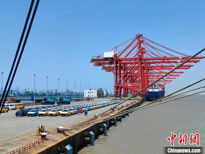 資料圖：國產(chǎn)新能源車在上海外高橋港區(qū)海通碼頭“整裝待發(fā)”?！∑址?攝