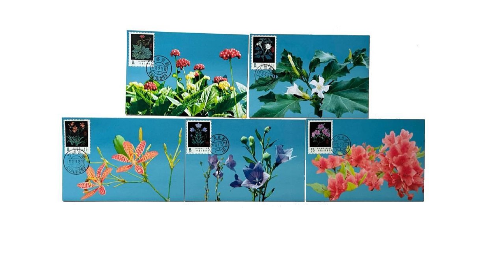 首套藥用植物極限片。第七屆阿聯(lián)酋集郵展主辦方供圖