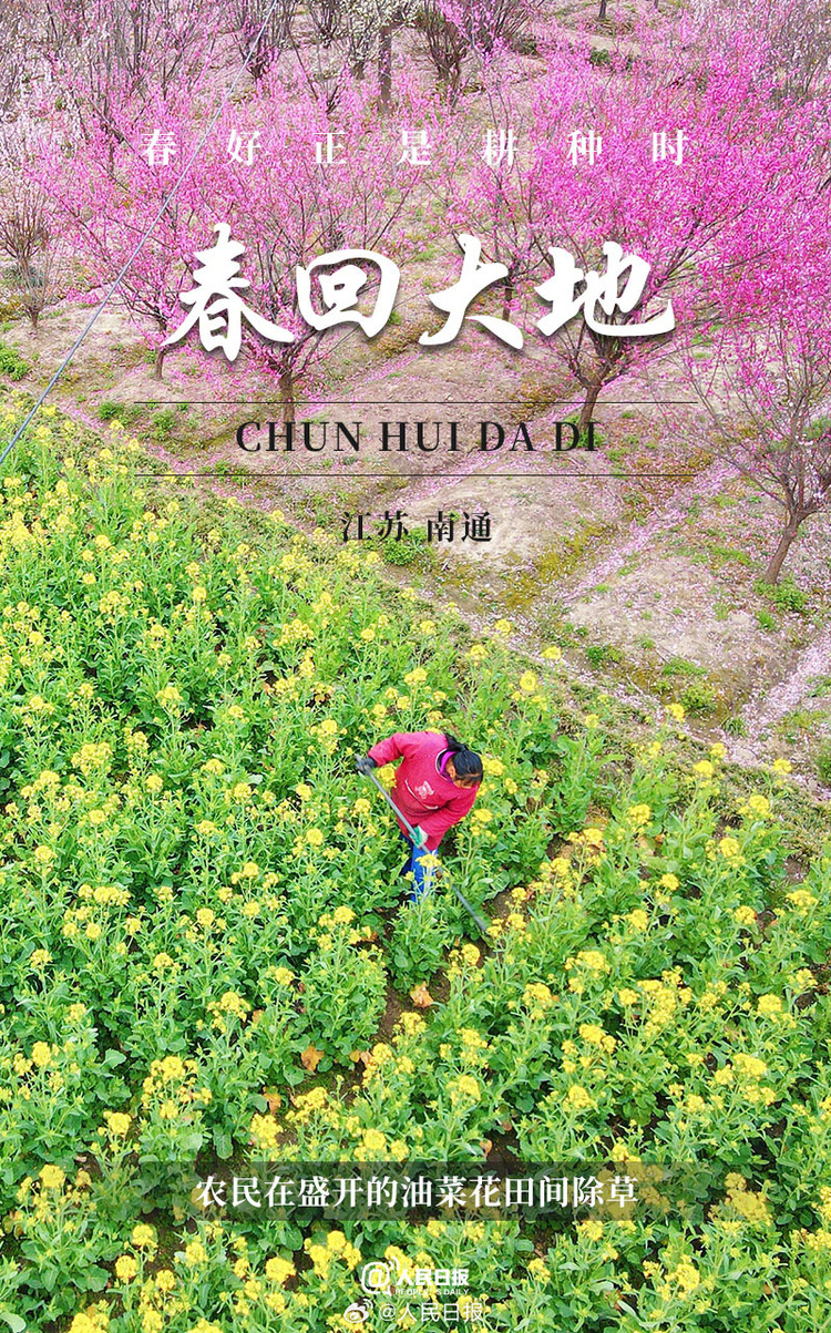生機(jī)盎然！用課本封面打開春耕畫卷