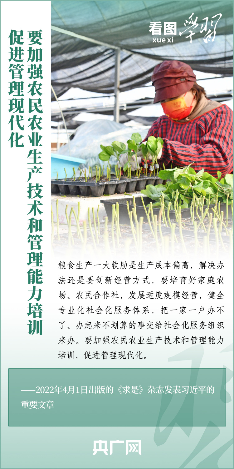 看圖學(xué)習(xí)丨推廣良田、良種、良法、良機(jī) 給農(nóng)業(yè)現(xiàn)代化插上科技的翅膀