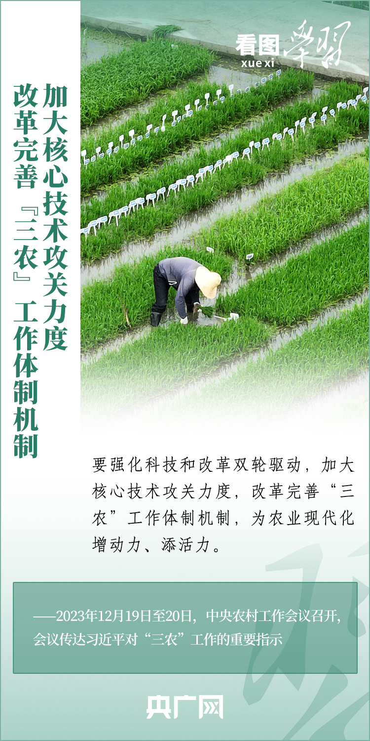 看圖學(xué)習(xí)丨推廣良田、良種、良法、良機(jī) 給農(nóng)業(yè)現(xiàn)代化插上科技的翅膀