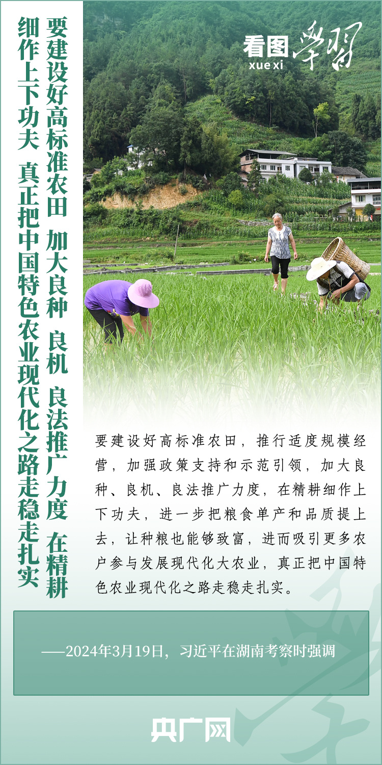 看圖學(xué)習(xí)丨推廣良田、良種、良法、良機(jī) 給農(nóng)業(yè)現(xiàn)代化插上科技的翅膀