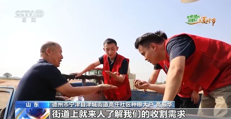 “三夏”生產思維導圖安排上了！還有政府大院等你來“曬”