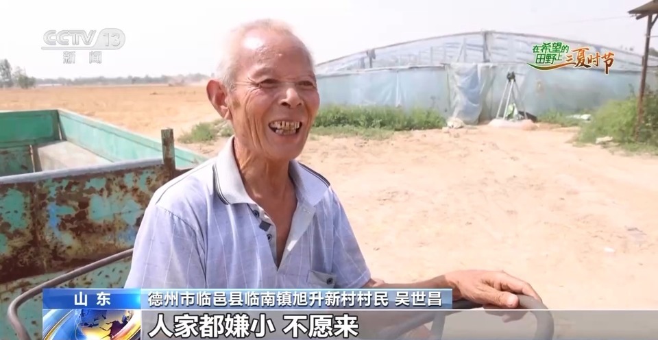 “三夏”生產思維導圖安排上了！還有政府大院等你來“曬”