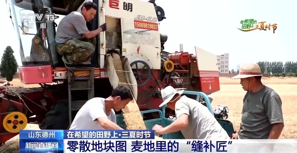 “三夏”生產思維導圖安排上了！還有政府大院等你來“曬”