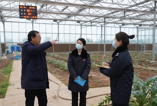 稅務(wù)干部走進常德市西洞庭管理區(qū)的朝鮮薊種植基地，宣傳稅費優(yōu)惠政策，助力農(nóng)企搶農(nóng)時、抓春耕、穩(wěn)增長。吳家豪攝