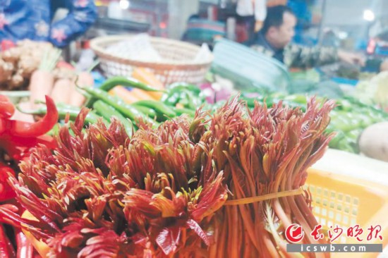 　　農(nóng)貿(mào)市場里鮮嫩的香椿?！　【鶠殚L沙晚報(bào)全媒體記者 劉捷萍 攝