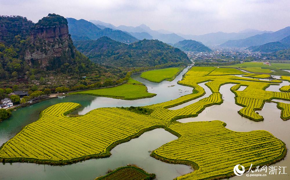 3月28日，航拍浙江省臨海市桃渚鎮(zhèn)桃江十三渚盛開的油菜花景色。人民網(wǎng) 章勇濤攝