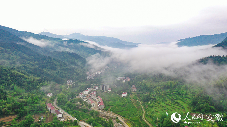 雨后的金寨大灣村，云霧環(huán)繞，宛如一幅田園山水畫(huà)卷。人民網(wǎng) 張俊攝