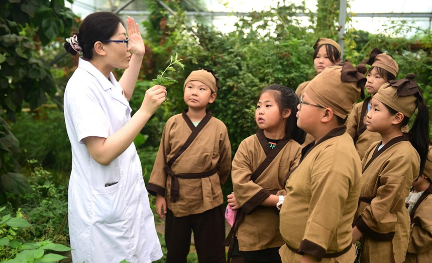 參加活動(dòng)的孩子聆聽滄州市人民醫(yī)院國醫(yī)館中醫(yī)對(duì)中藥材的講解。 傅新春攝