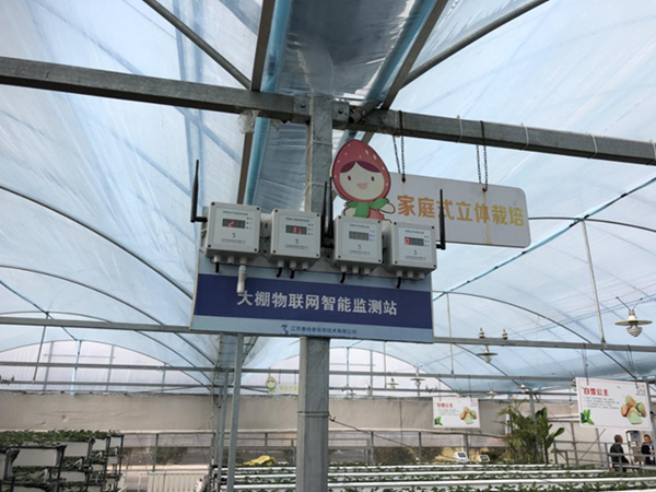 都市四季果園內(nèi)的物聯(lián)網(wǎng)智能監(jiān)測站系統(tǒng)。東?？h委宣傳部供圖