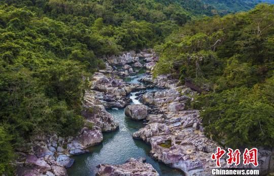 2018年海南生態(tài)環(huán)境狀況等級(jí)為“優(yōu)”，植被覆蓋率高，生物多樣性豐富，生態(tài)系統(tǒng)穩(wěn)定，圖為海南中部熱帶雨林。　駱云飛　攝
