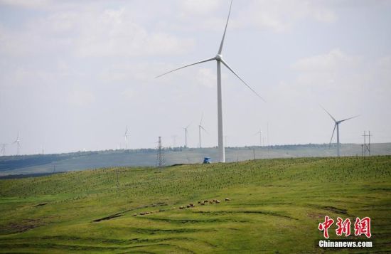 6月28日，河北張家口張北草原上大片風(fēng)力發(fā)電的“風(fēng)車”規(guī)模宏大。 中新社記者 楊艷敏 攝