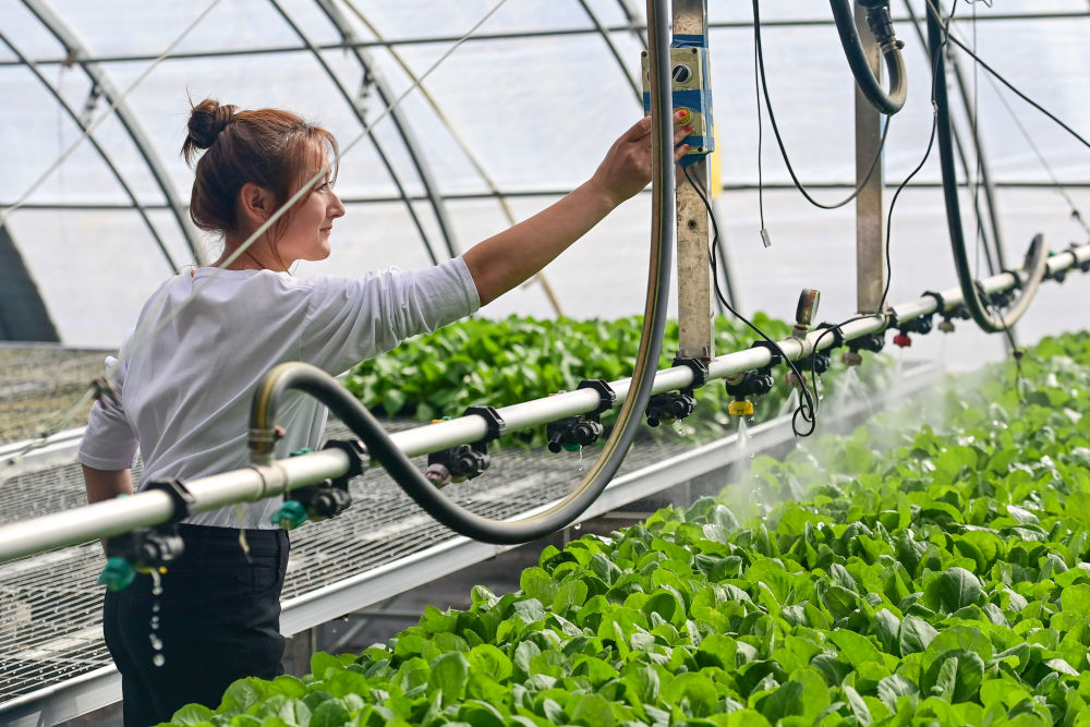 牢牢守住不發(fā)生規(guī)模性返貧致貧底線——西部脫貧地區(qū)“5年過(guò)渡期”一線觀察