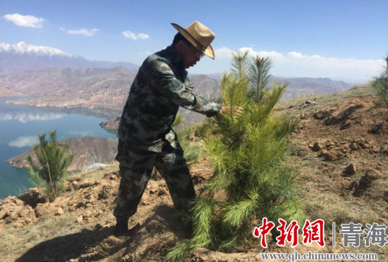 圖為尖扎干部職工生態(tài)建設(shè)和環(huán)境保護(hù)現(xiàn)場(chǎng)。尖宣 供圖