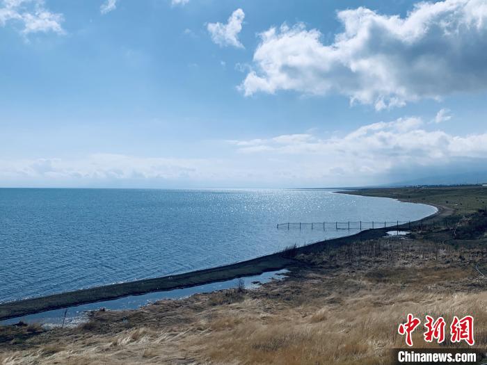圖為青海湖畔。(資料圖) 張傲 攝