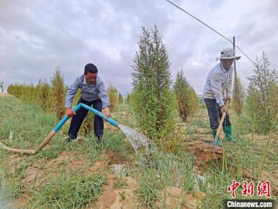 圖為扎西和村民給樹(shù)澆水。　祁增蓓　攝