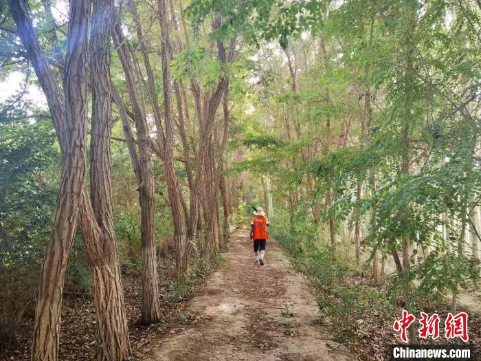 戈壁灘上的護(hù)林員：以前風(fēng)吹睜不開眼，現(xiàn)在滿眼皆綠色