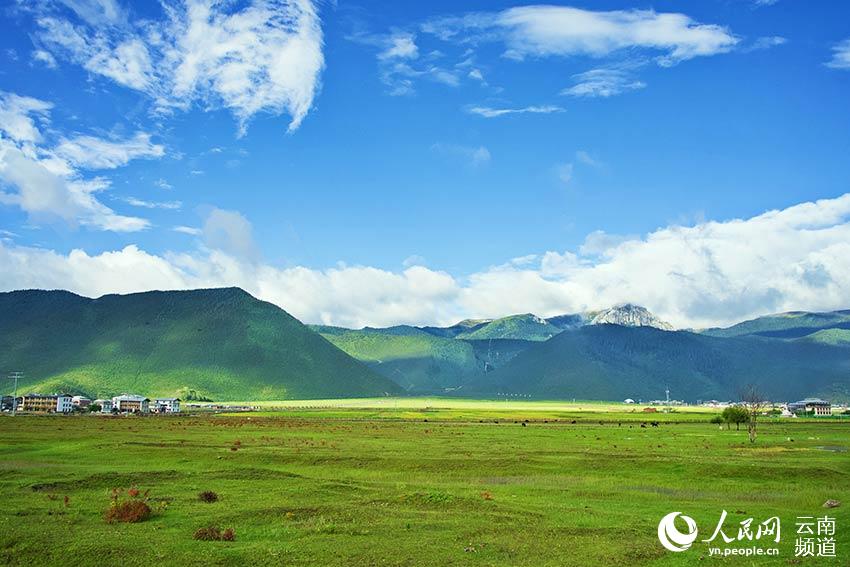 納帕海濕地風(fēng)景。呂昊辰攝