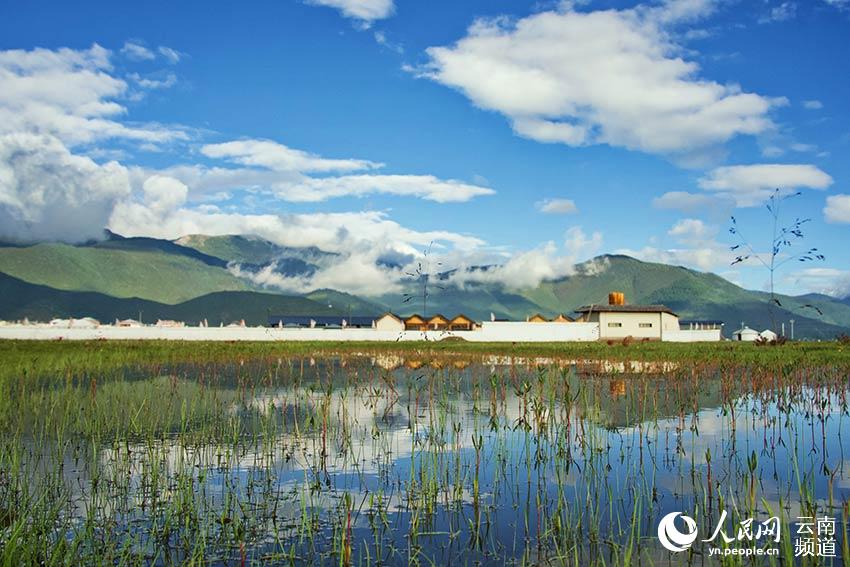 納帕海濕地風(fēng)景。呂昊辰攝