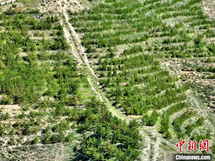 航拍建行青海省分行綠化區(qū)?！∑钤鲚?攝